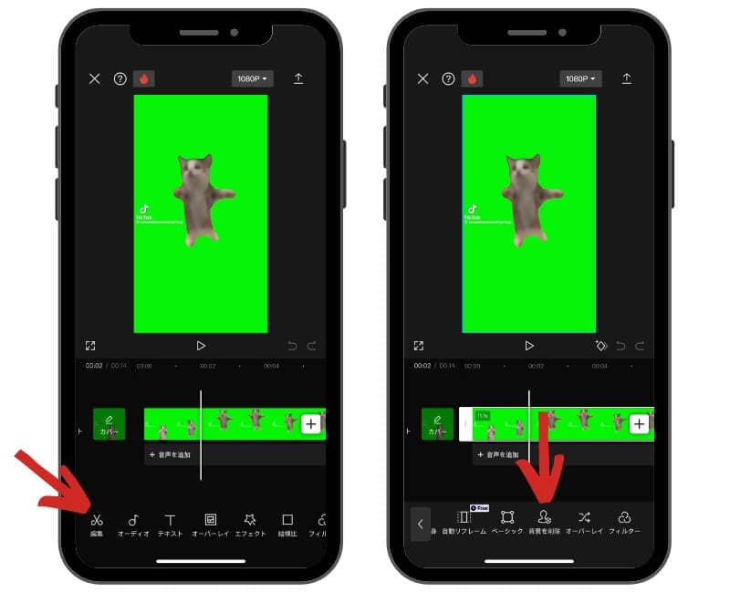 CapCutで猫ミームの背景を削除 CapCutで猫ミームの背景を削除