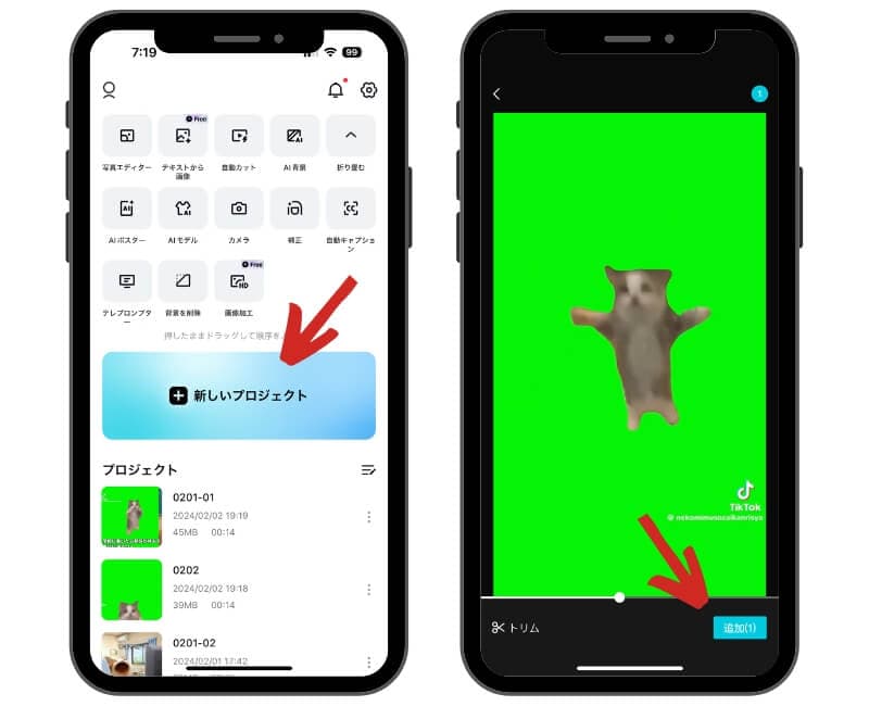 CapCutで猫ミームの背景を削除 CapCutで猫ミームの背景を削除